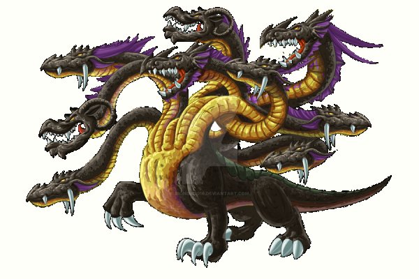 Kraken online