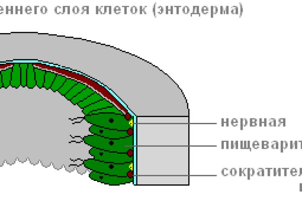 Кракен 16 at