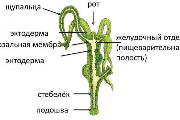 Кракен верификация