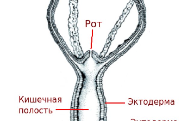 Кракен сайт официальный зеркало